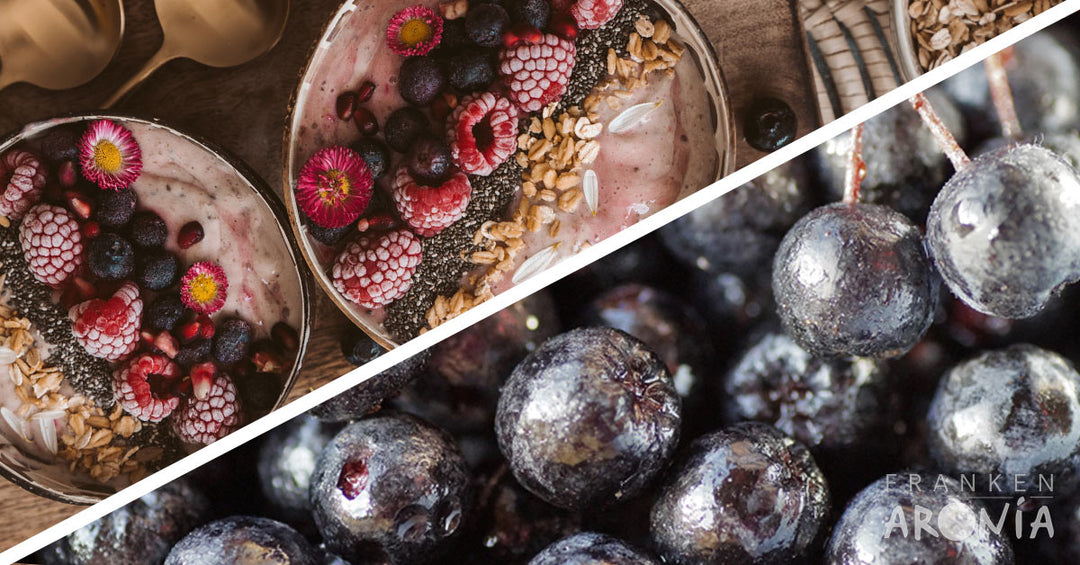 Bowl-Rezepte mit Aronia – innovativ, gesund, einfach anders