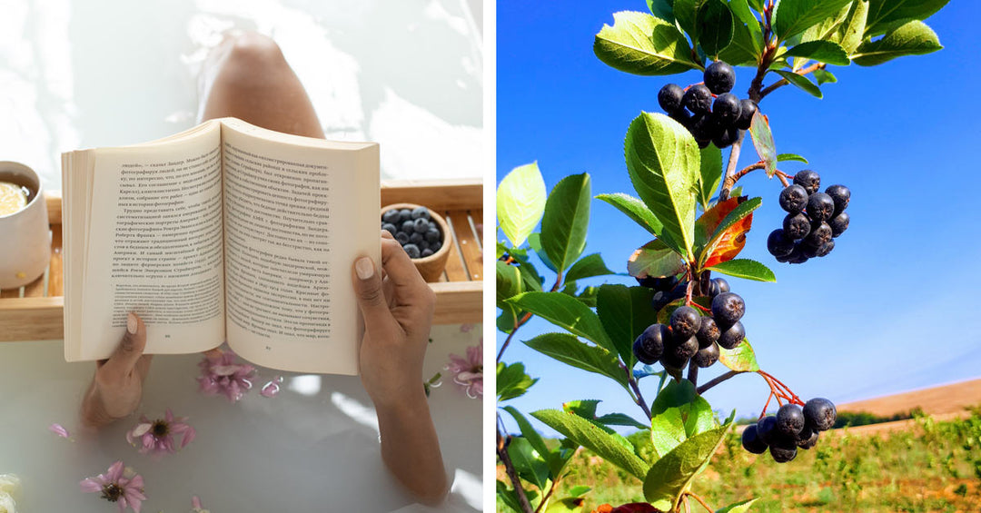 Entspannen mit Aronia - Frankenaronia