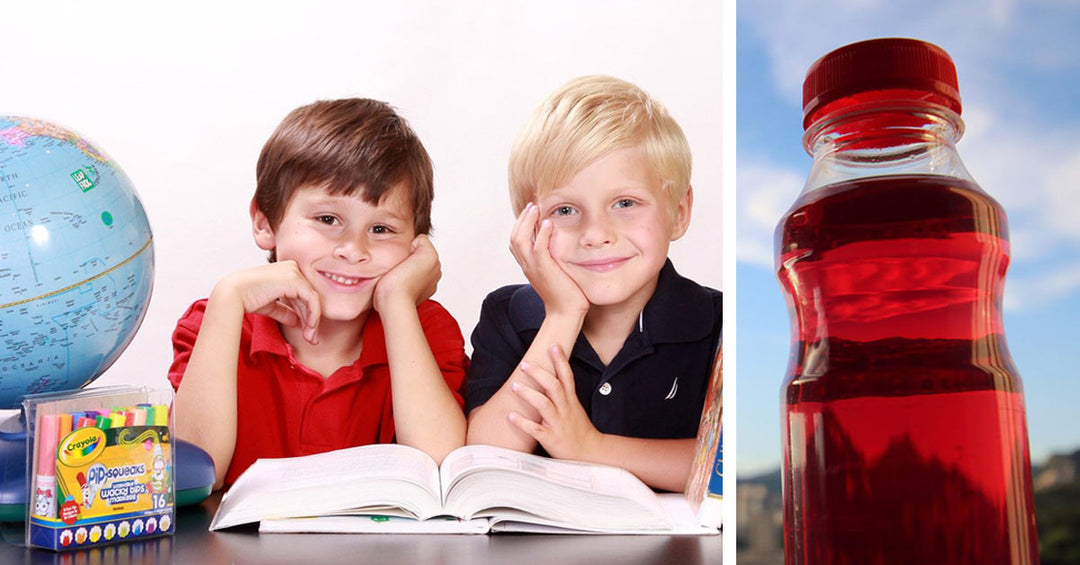 Leckere Aroniasaftschorle zum Schulanfang - Frankenaronia