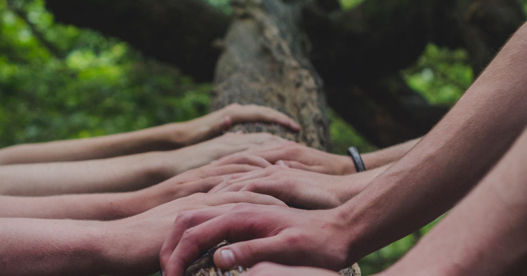 2022-10 Alles Lebendige stammt aus Lebendigem - Frankenaronia