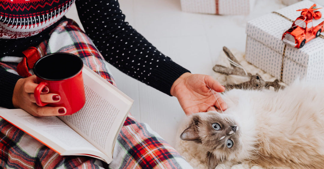 2023-12 Zeit der Selbstreflektion - Frankenaronia