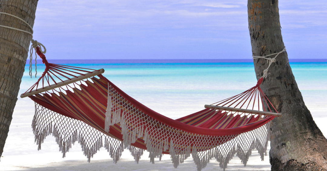 2024-06-04 Von Zen zu Zen bis zu den Ferien - Frankenaronia