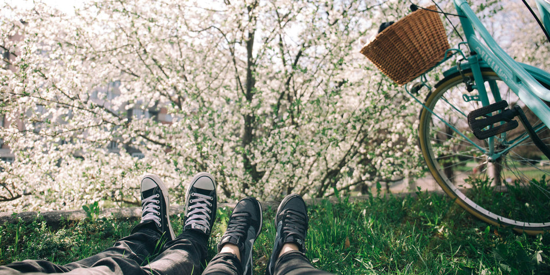 2025-03-18 Winter aus Frühling raus - FrankenAronia