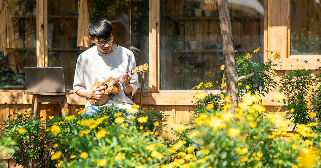 2025-07-08 Pflanzen lieben klassische Musik - Frankenaronia