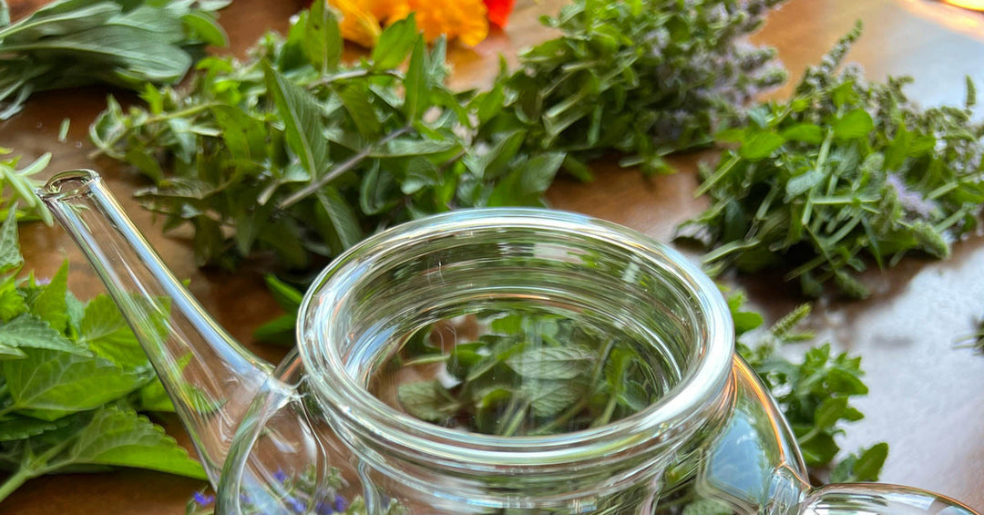 2025-08 Tee ist nicht gleich Tee - Frankenaronia