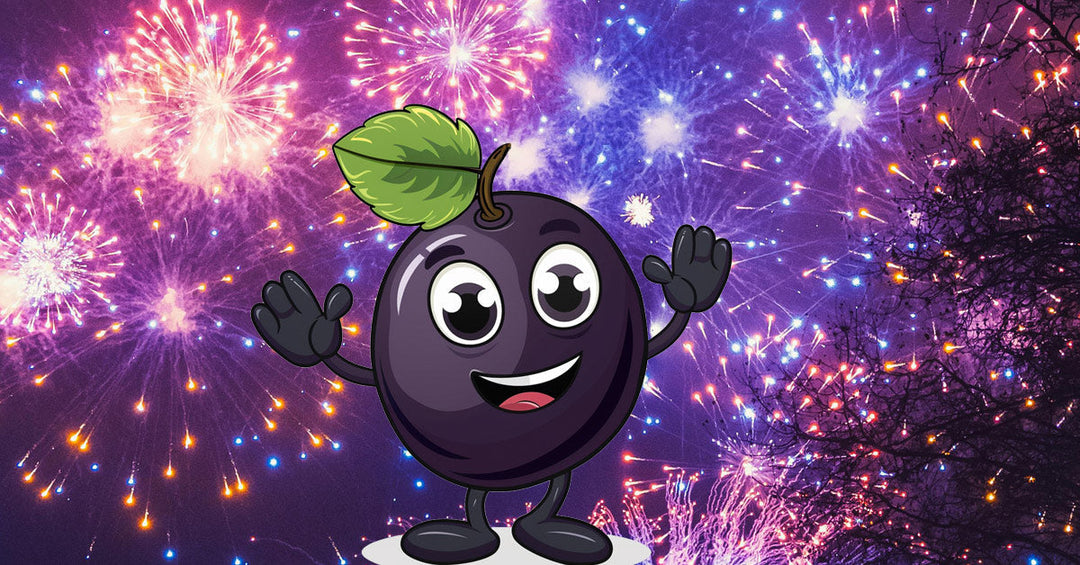 2025-12-30 Nichts am Hut mit Silvesterblues - Frankenaronia