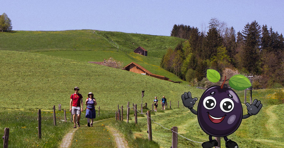 2026-05-19 Frankenaronia - Die kurzen Pfingstferien genießen, bevor es dann richtig in den Sommerurlaub geht